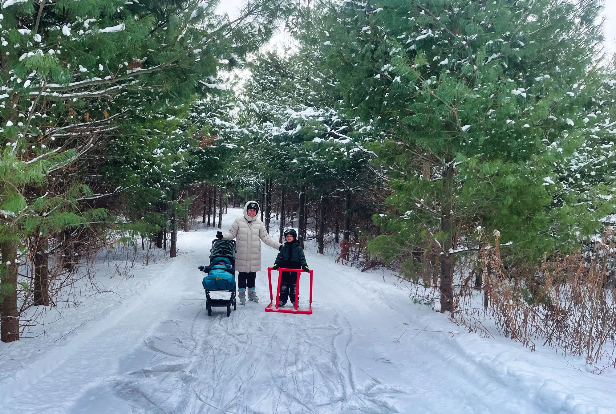 Posando a mitad del bosque