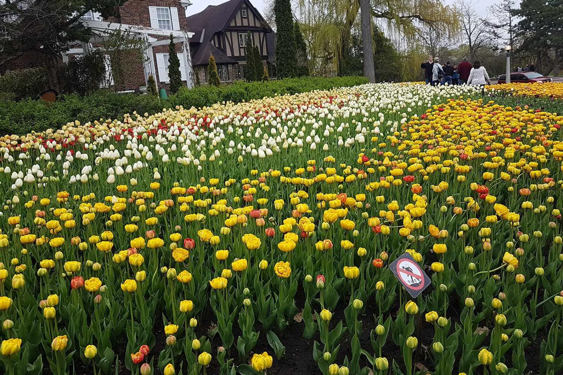 Cómo entretener a tus hijos